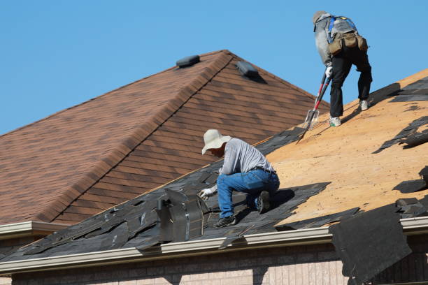 Best Roof Insulation Installation  in White Bear Lake, MN